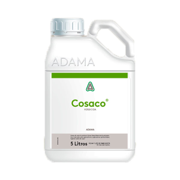 COSACO-5 LTS-